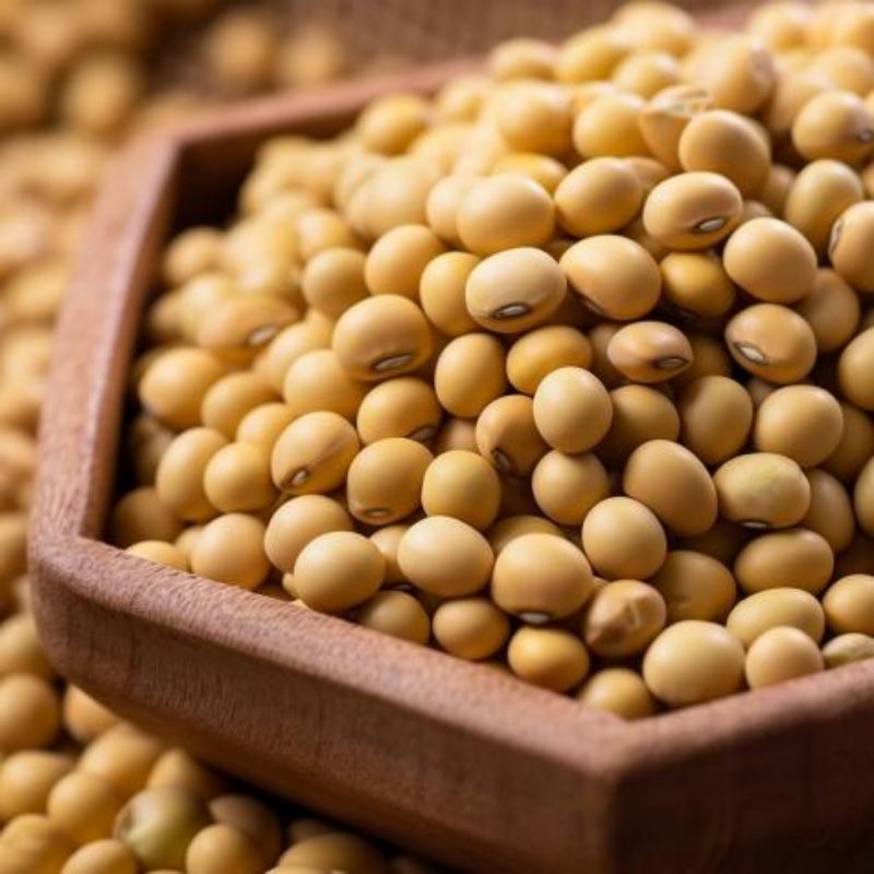 News - Natural conditions of Argentine soybeans